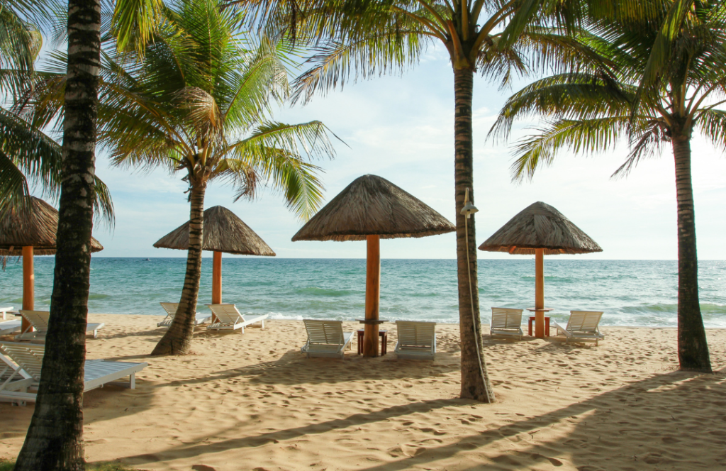 reveillon litoral norte