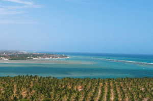 Foto: Barra de São Miguel & Praia do Gunga por Otávio Nogueira, licenciada sob CC BY 2.0