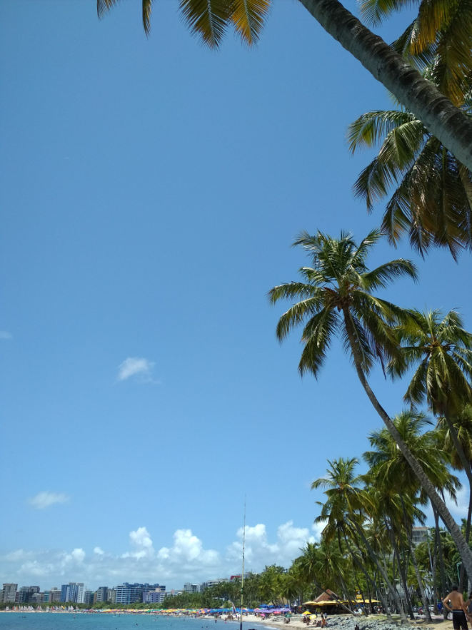Vista da Praia de Pajuçara, em Maceió, Alagoas — mar, calçadão e coqueiros ao fundo; fotografia de Flaviohmg.